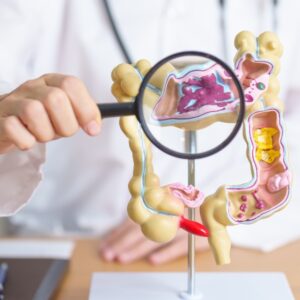 Digestive health Preston